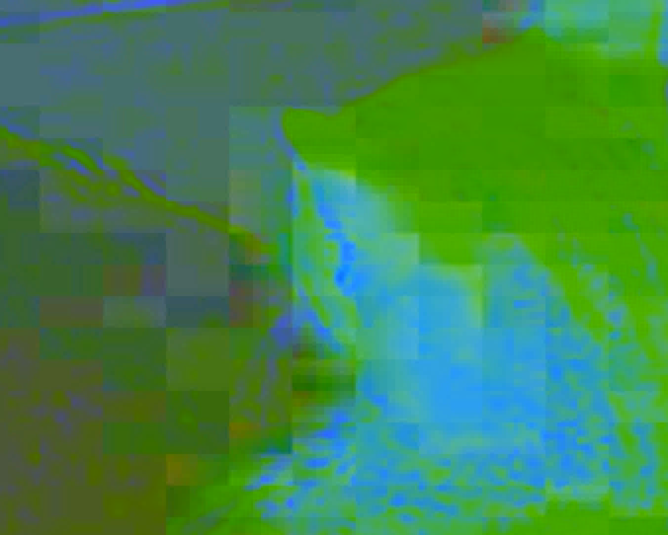 Blocking artifacts on a cat